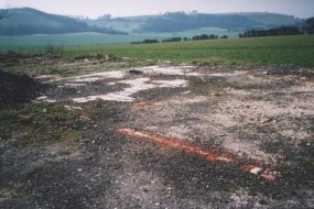 Close-up of remains