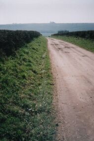 Lane from Nuthanger Farm